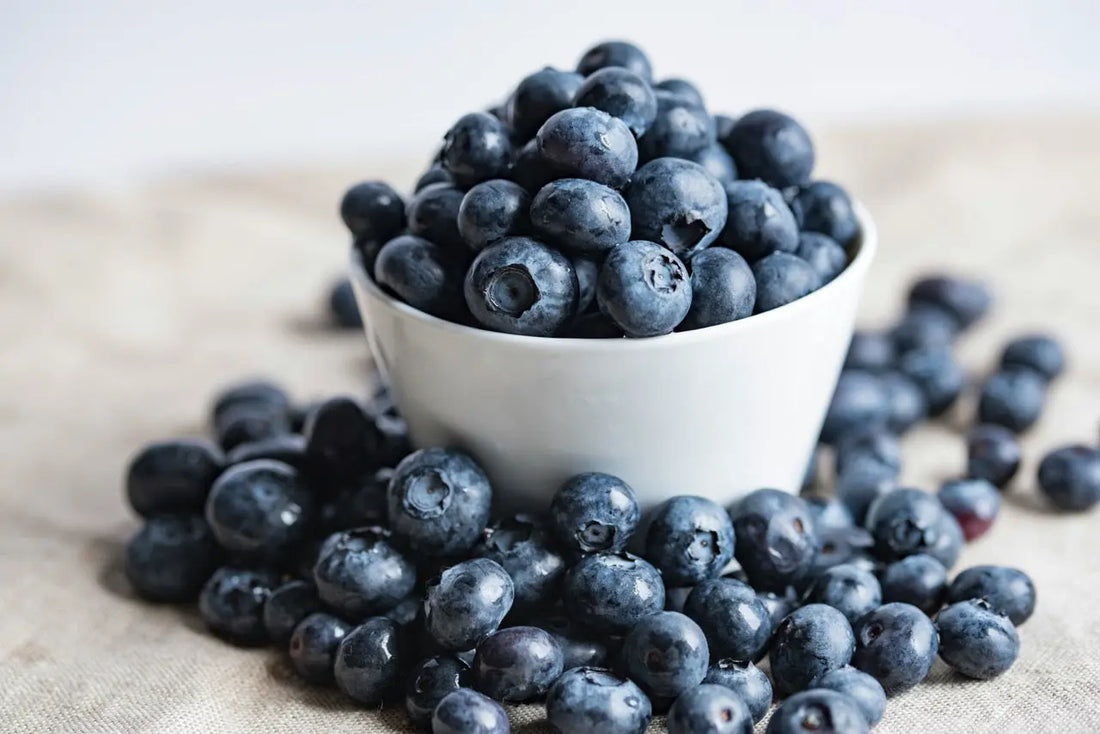 40-Superfoods-for-your-dog Healthy Happy Dog