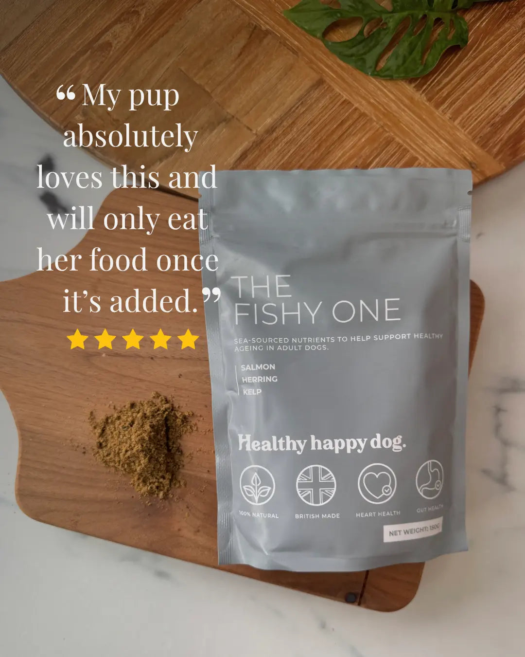 The Fishy One Healthy Happy Dog