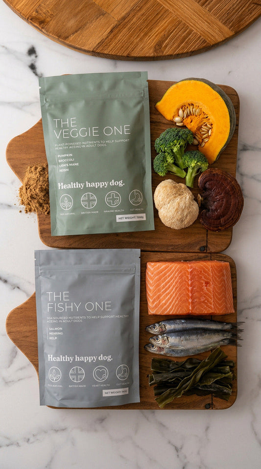 The Catch of the Day Bundle Healthy Happy Dog