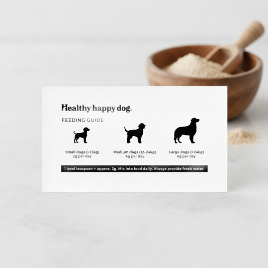 The Fishy One Healthy Happy Dog