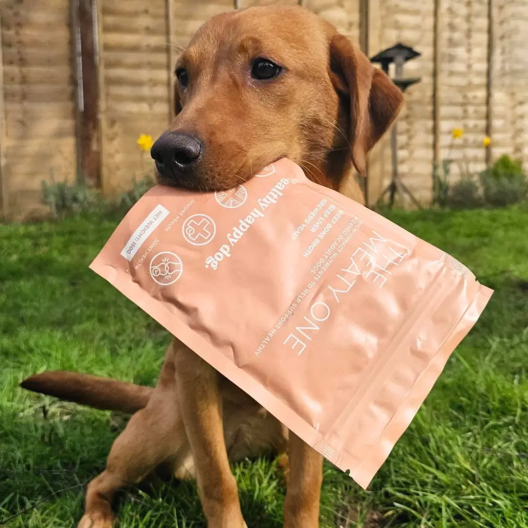 Try-a-Pouch-for-10 Healthy Happy Dog