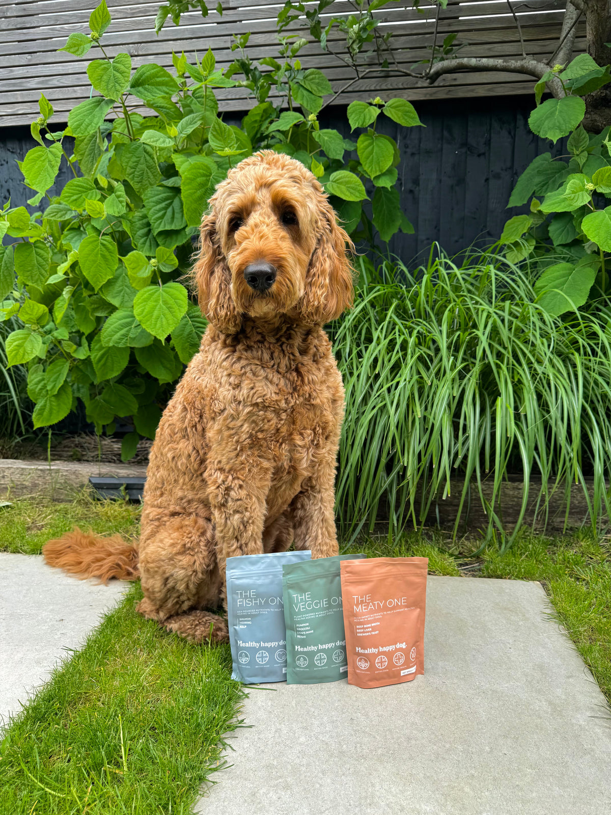 Shop-all Healthy Happy Dog