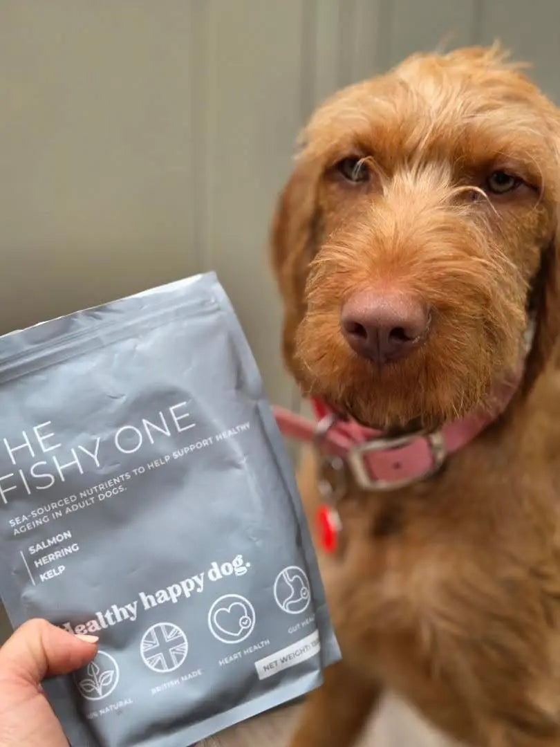 The Fishy One Healthy Happy Dog
