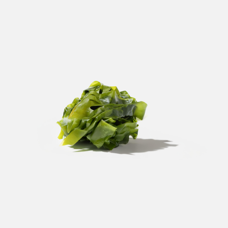 Green seaweed ball on a white background