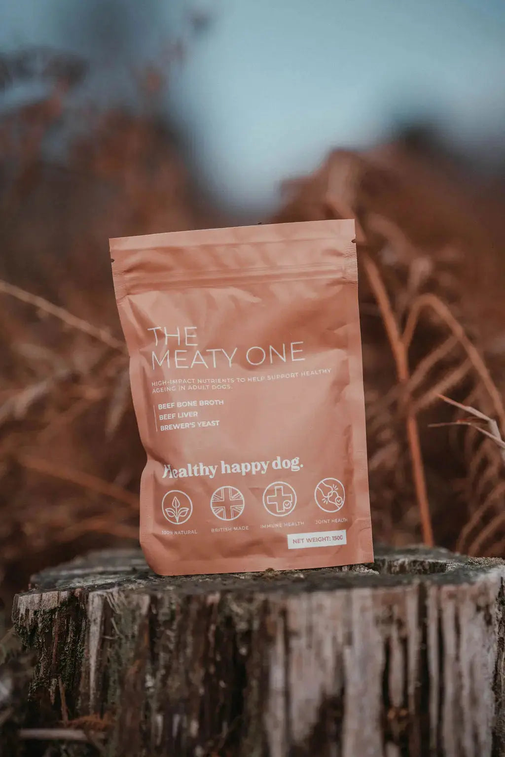 More Good Days Starter Bundle Healthy Happy Dog