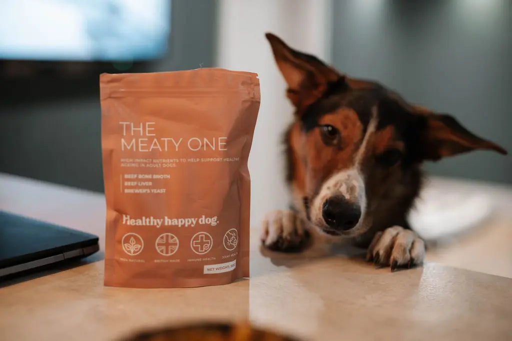 More Good Days Starter Bundle Healthy Happy Dog