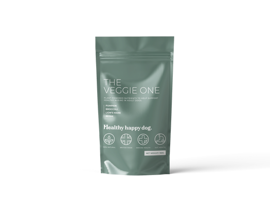 The Veggie One Healthy Happy Dog